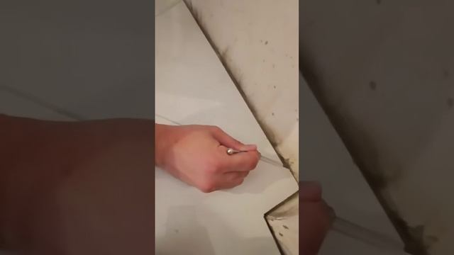 двухкомпонентная затирка