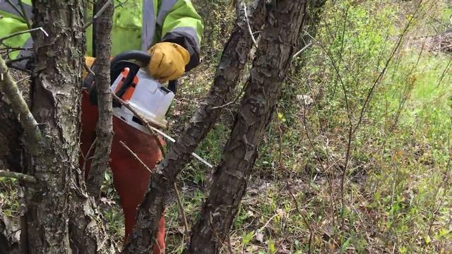 Stihl electric saw pinched смотреть онлайн