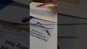 it is по таблице, английский 1 класс, записывайтесь на уроки 🚀+79676250268✍️📱онлайн, в Спб-лично👍