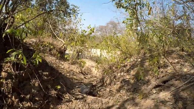 Deep Forest Challenge Crazy Jungle Survival Day & Night | Haunted😱 *DO OR DIE* смотреть онлайн