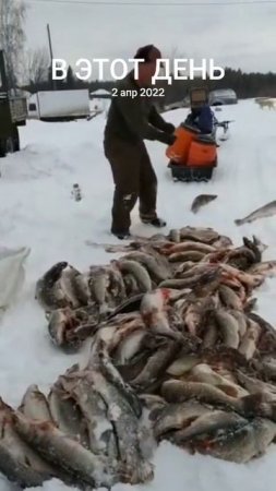 Рыбалка треш. Было дело 💪