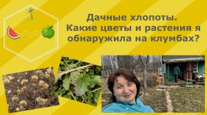 Дачные хлопоты. Какие цветы и растения я обнаружила на клумбах. Молодые дачники. 28 марта 2025