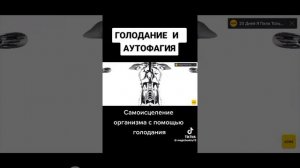 Голодание полезно!