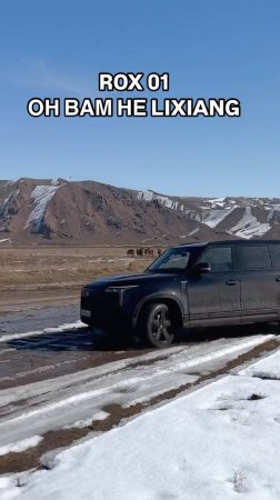 ROX 01 — это Lixiang который смог🦾