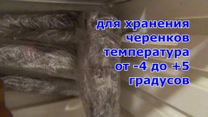 ПРОВЕРКА ЧЕРЕНКОВ ВИНОГРАДА.  КТО и ЧТО ДОЛЖЕН СДЕЛАТЬ