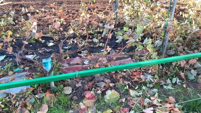 Добрый день,веселая минутка!)и далее по тексту) смотреть онлайн