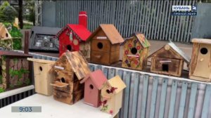 В Сочи наградили победителей экологического месячника «Птичий марафон 2025»