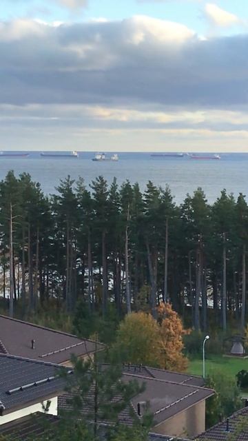 "Солнечный старт: монтаж ЛВЛ балок у Финского залива"