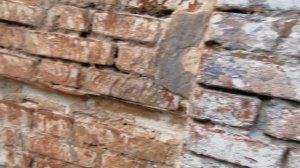 31.03.2025.Усадьба Парк Кино Ляхово.Парк Кошек. Ляховский край. Книга 1,страница 11.Обзор Усадьбы.