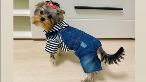 ГОД НЕ ВИДИЛИСЬ! КОКОСОВОЕ ПЕЧЕНЬЕ! НОВЫЙ КОСТЮМ