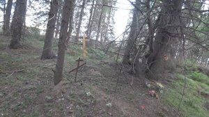 110. Старое заброшенное кладбище. Нашёл могилу прадеда.