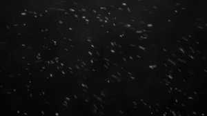 ФУТАЖ НОВОГОДНИЙ СНЕГ на черном фоне, снегопад - SNOW