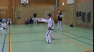 3 Дан, Ю син, Yoo Sin комплекс туль тхэквондо taekwondo таэквондо