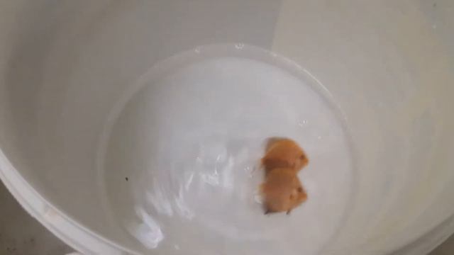 Посылка от DISCUSRUS смотреть онлайн