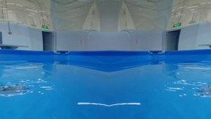 Подводные дроны в "Сириусе"  #drone #auv #rov #robot #творчество