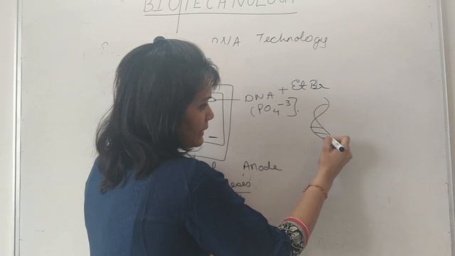 Biotechnology in Hindi for class NEET