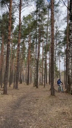 карпфишинг. у кого как...