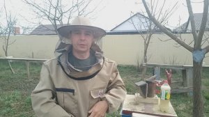 Результат ранней стимуляции пчёл