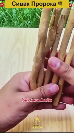 Сивак Пророкаﷺ.  От куда Он мог знать !...это просто чуда!