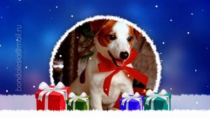 Новогодние стили и переходы для ПРОШОУ ПРОДЮСЕР