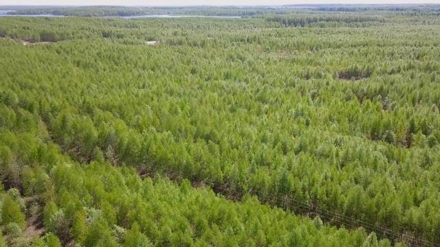 Тимонькино