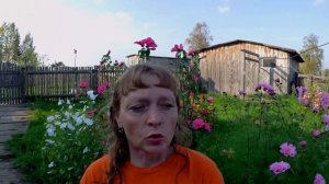 О работе перевозчика: предоплата, выбор машины. Как мы ДТ покупали