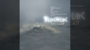 «Трибьют. Пикник» — Трибьют группе «Пикник» [CD, 2003]