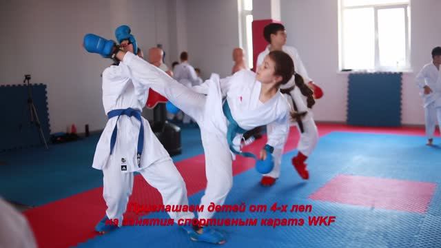 Каратэ WKF в Краснодаре