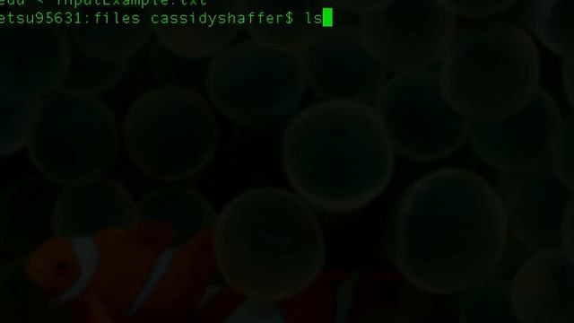 Files Redirection Part 5 of 7 by Cassidy Shaffer смотреть онлайн