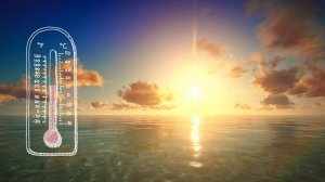 SM2ed Think and learn video L3 U5 Environmental problems