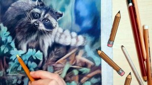 🦝 Рисуем реалистичного енота карандашами – спокойный процесс без слов ✏️🎨