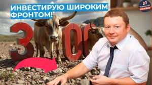 Александр Бабинцев - Инвестирую широким фронтом!