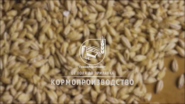 ПсковАгроИнвест 2019 - 2. Кормопроизводство