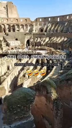 Гладиолусы.