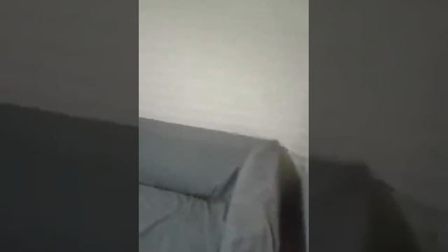 Квартира Электросталь смотреть онлайн