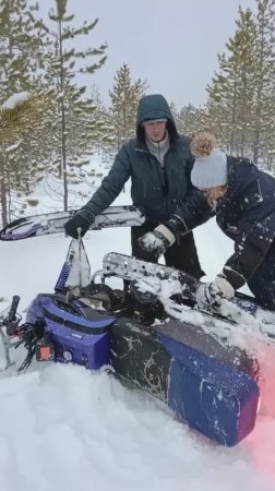 БОЛИВАР НЕ УВЕЗЁТ ДВОИХ...