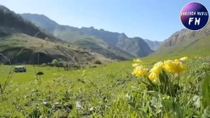 Лема Сатуев Очень Красивая Песня☝Нана Нашха☝