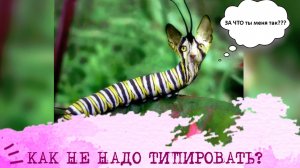 Как НЕ НАДО типировать❓❗️