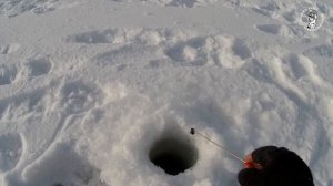 СЕКРЕТНАЯ МОРМЫШКА КОСИТ ОКУНЯ! Зимняя рыбалка. УДАЧНОЕ ОТКРЫТИЕ СЕЗОНА. Уже не первый лёд.