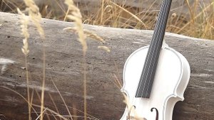 Скрипка от души для всех.1