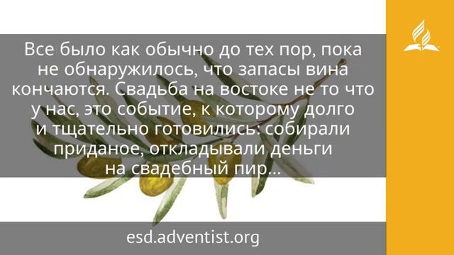 2 апреля 2025 Что скажет, то и сделайте. Под сенью благодати. Адвентисты