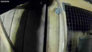 Установка нипельных поилок на старые клетки для кроликов.