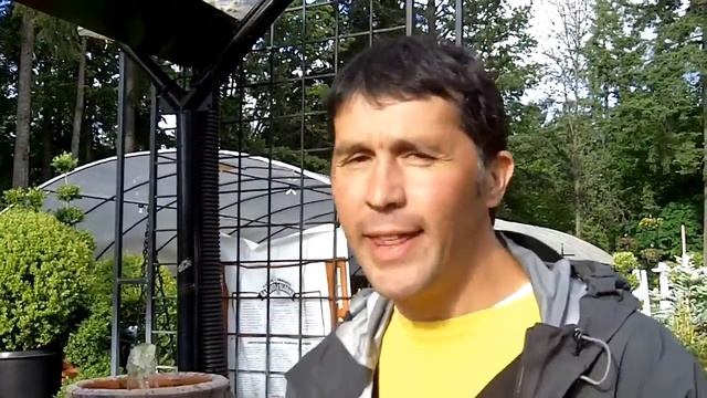 A basil for every occasion! смотреть онлайн