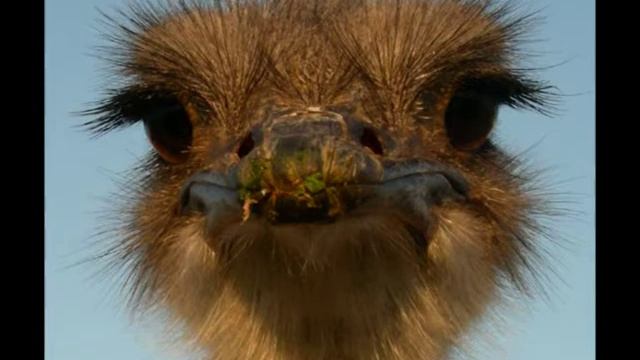 Выражения смотреть онлайн