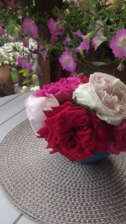 Вечер после грозы #сад #garden #flowers #розы #roses
