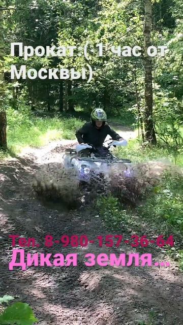 Прокат квадроциклов.. 1 час от Москвы. Дикая земля.. 8-980-157-36-64 #баня #гриль #квадроцикл смотреть онлайн