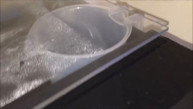 New fish: I have bought 4 little hoplo catfish смотреть онлайн