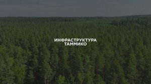 Таммико. Расположение коттеджей и инфраструктура вокруг