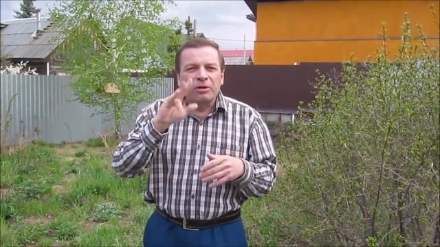 ДЗЕН- дешевяк! смотреть онлайн