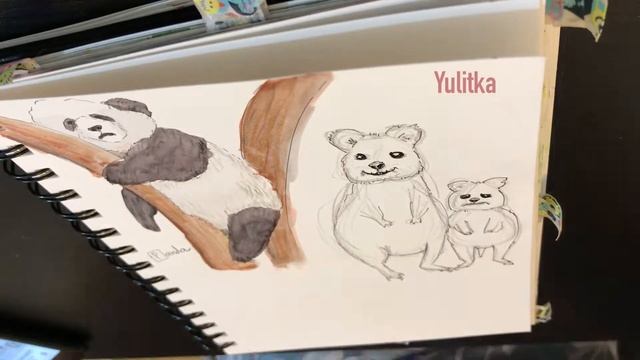 Panda, Quokka and Racoon - ABC Animals challenge смотреть онлайн
